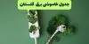 قطعی برق گلستان فردا پنجشنبه ۵ شهریور + لینک 