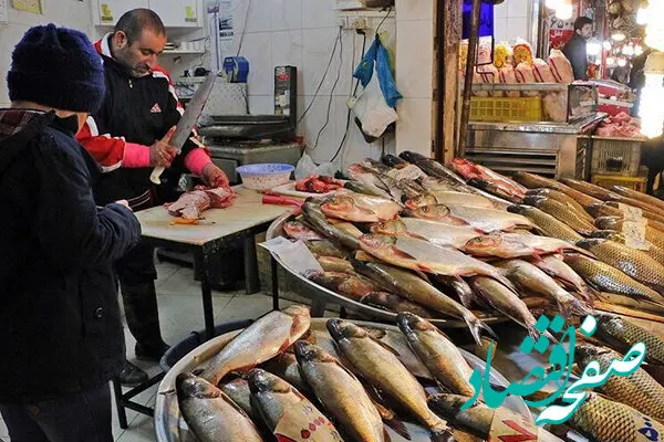 جدیدترین قیمت ماهی قزل آلا و انواع ماهی امروز چهارشنبه ۲۶ دی ۱۴۰۳