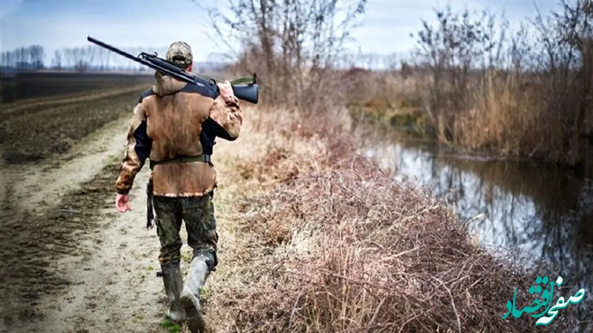 چرا ایران در قعر جدول جهانی حفاظت از محیط‌زیست است؟ | وضعیت اضطراری محیط‌زیست ایران: شکار، صید بی‌رویه و مشکلات حیوانات خیابانی