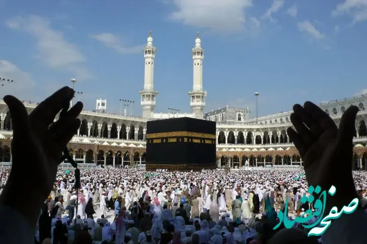 جدیدترین آمار فوتی‌ های ایرانی در حج ۱۴۰۳ / چند زائر بدحال به کشور اعزام شدند؟ 