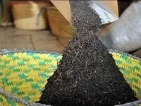 یک خبر داغ داغ از پرونده فساد دبش + ماجرای واردات چای سنواتی سرطان‌زا به ایران 