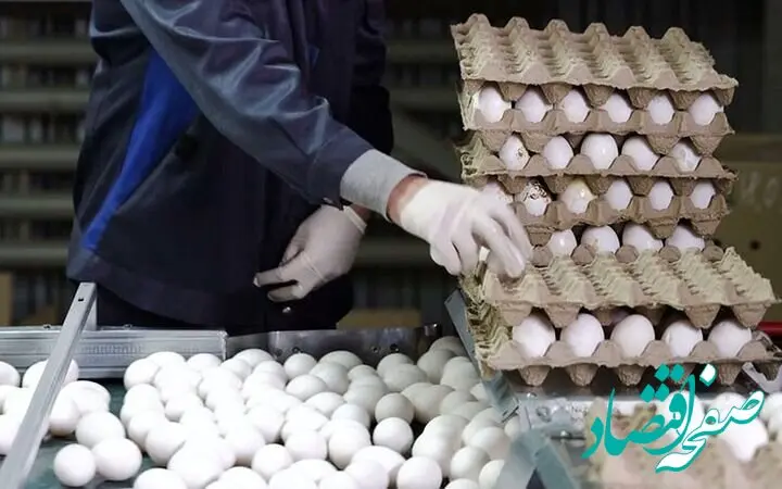 بازار تخم مرغ چه خبر است؟ | قیمت هر شانه به این عدد رسید