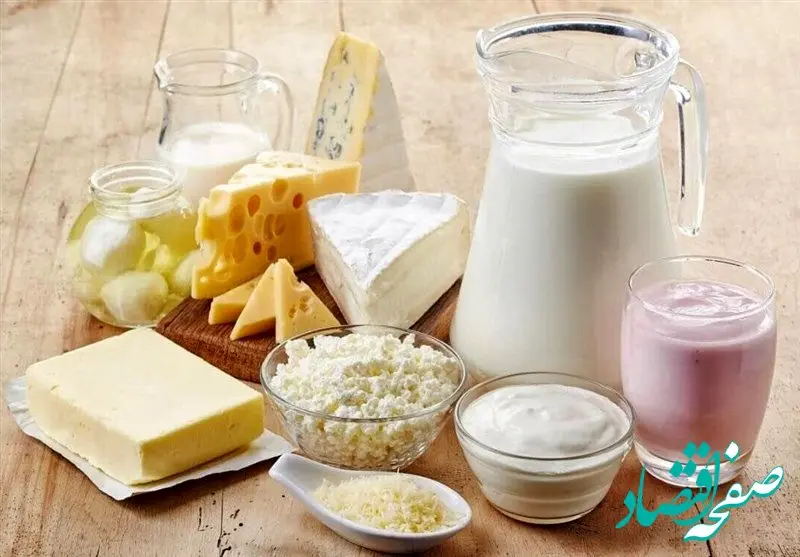 تزریق ۶ همت برای جلوگیری از فروپاشی زنجیره لبنیات؛ دولت خرید استراتژیک شیرخام را کلید زد
