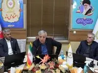 قائم مقام بانک ملی ایران: استفاده از نیروهای جوان و با استعداد در مدیریت شعب، تحول آفرین است