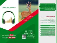 «شوکا» از موانع طرح های موجود بیمه ای عمر گذشت