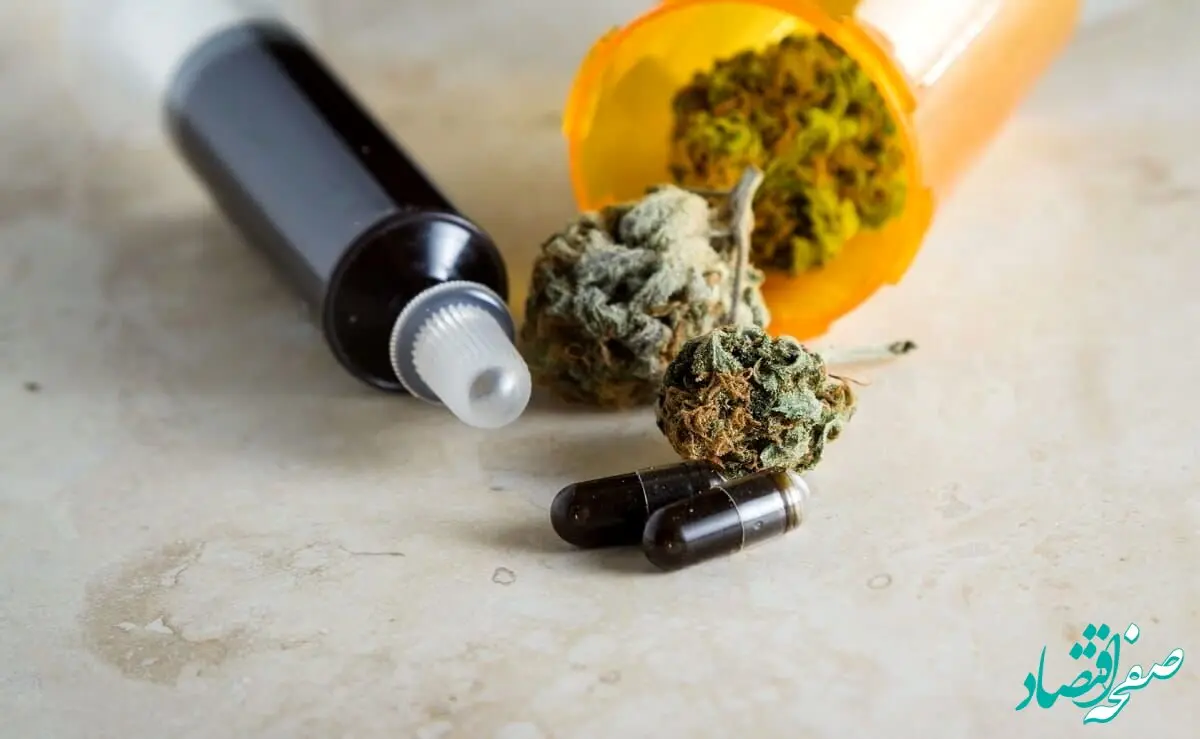 هشدار/رواج یک روان گردان که ۸۰۰برابر از حشیش مخرب تر است!