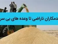 از گندمکاران ناراضی تا وعده های بی سرانجام / آیا گندمکاران محصول خود را سال آینده به دولت می فروشند؟