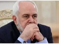 فرزند شهید فخری زاده اینگونه محمدجواد ظریف را به فنا برد