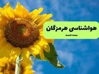 پیش بینی وضعیت آب و هوا هرمزگان فردا جمعه ۴ مهر ۱۴۰۴ | هواشناسی هرمزگان ۲۴ ساعت آینده 