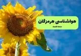 پیش بینی وضعیت آب و هوا هرمزگان فردا شنبه ۱۷ مرداد