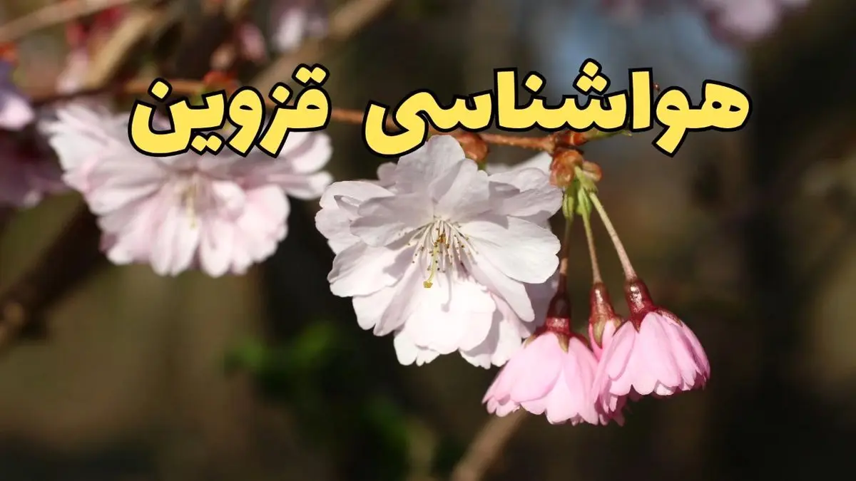 پیش بینی هواشناسی قزوین ۲۴ ساعت آینده | وضعیت آب و هوا قزوین فردا سه شنبه ۱۲ فروردین ماه ۱۴۰۴ | آب و هوای قزوین در روز ۱۳ بدر