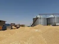 تیکه سنگین نماینده ماکو در مجلس شورای اسلامی 
درباره پرداخت پول گندمکاران دولت را از خجالت آب کرد!