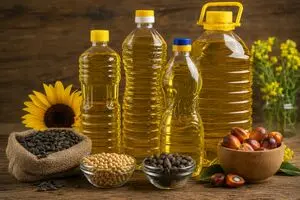صنعت روغن زیر فشار حذف ارز ترجیحی؛ هزینه تولید چند برابر شد