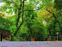 پای ساخت مسجد در پارک قیطریه به بازی سیاسی و لجاجت باز شد! 