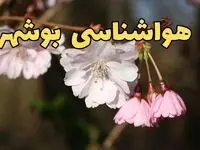 پیش بینی هواشناسی بوشهر ۲۴ ساعت آینده | وضعیت آب و هوا بوشهر فردا سه شنبه ۱۲ فروردین ماه ۱۴۰۴ | آب و هوای بوشهر در روز ۱۳ بدر 