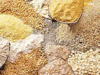 آخرین قیمت نهاده های دامی امروز چهارشنبه ۲۲ بهمن ۱۴۰۴ و قیمت مرغ زنده