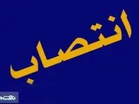 مدیرعامل جدید پتروشیمی ارومیه منصوب شد
