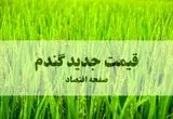 آخرین خبر از قیمت گندم (۱۴۰۵) امروز ۲۶ شهریور ماه ۱۴۰۴ | پشت‌پرده‌ای که امنیت غذایی ۸۵ میلیون ایرانی را به بازی گرفته است!