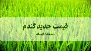 شوک قیمتی در انتظار نان/ نرخ جدید گندم از ۲۹ به ۵۲ هزار تومان رسید؛ دولت در تله واردات گران قیمت