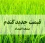 آخرین خبر از قیمت خرید تضمینی گندم امروز ۱۸ مهر ۱۴۰۴ + ویدئو (پرداخت مطالبات گندمکاران) 