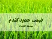 آخرین خبر از قیمت خرید تضمینی گندم امروز ۱۸ مهر ۱۴۰۴ + ویدئو (پرداخت مطالبات گندمکاران) 