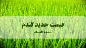 جهش استراتژیک در نرخ خرید تضمینی گندم؛ گامی بلند برای تحقق خودکفایی پایدار و حمایت از سفره کشاورزان
