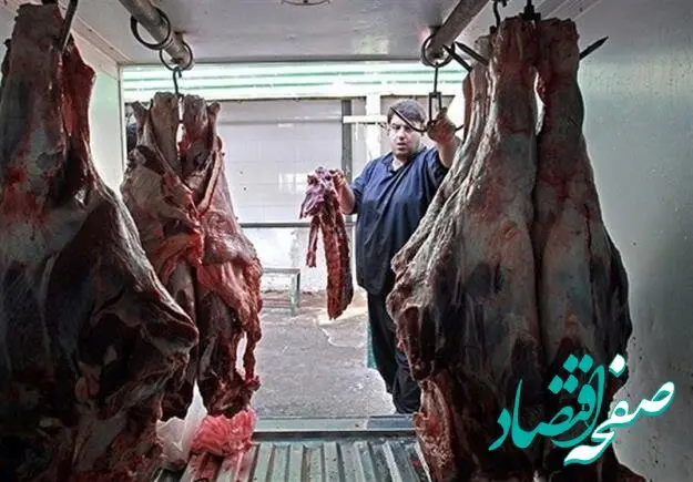 قیمت گوشت قرمز امروز جمعه ۳۰ شهریور ۱۴۰۳/ چرا این گوشت را گران‌تر می‌فروشند