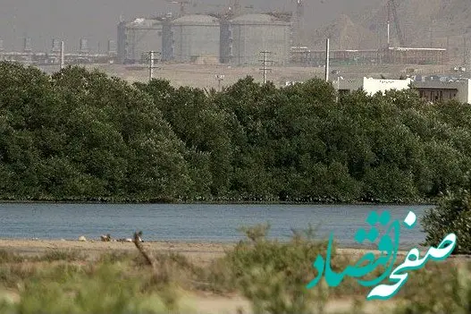 پتروشیمی پردیس پیشتاز در صیانت از ریه های استان بوشهر