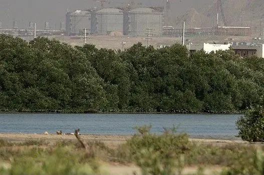 پتروشیمی پردیس پیشتاز در صیانت از ریه های استان بوشهر