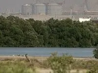 پتروشیمی پردیس پیشتاز در صیانت از ریه های استان بوشهر
