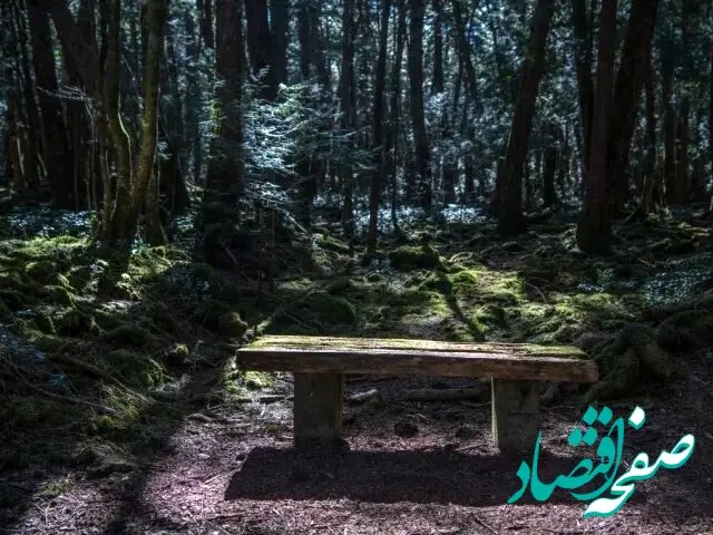 ۱۵ حقیقت خوفناک درباره " جنگل خودکشی " در ژاپن