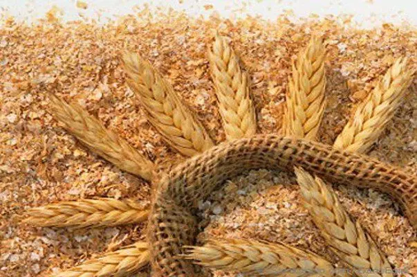 آیا قیمت سبوس گندم آزاد شد؟ 
