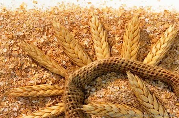 آیا قیمت سبوس گندم آزاد شد؟ 