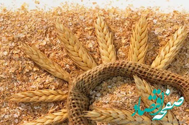 آیا قیمت سبوس گندم آزاد شد؟ 