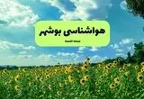 پیش بینی وضعیت آب و هوا بوشهر فردا پنجشنبه ۱۳ شهریور ماه ۱۴۰۴ | هواشناسی بوشهر ۲۴ ساعت آینده 