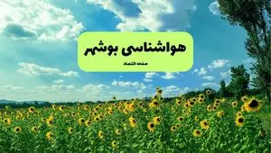 پیش بینی وضعیت آب و هوا بوشهر فردا پنجشنبه ۱۳ شهریور ماه ۱۴۰۴ | هواشناسی بوشهر ۲۴ ساعت آینده