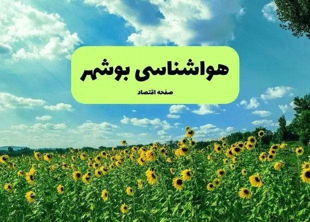 پیش بینی وضعیت آب و هوا بوشهر فردا جمعه ۱ اسفند ۱۴۰۴ + هواشناسی بوشهر فردا + وضعیت هوای فردا بوشهر