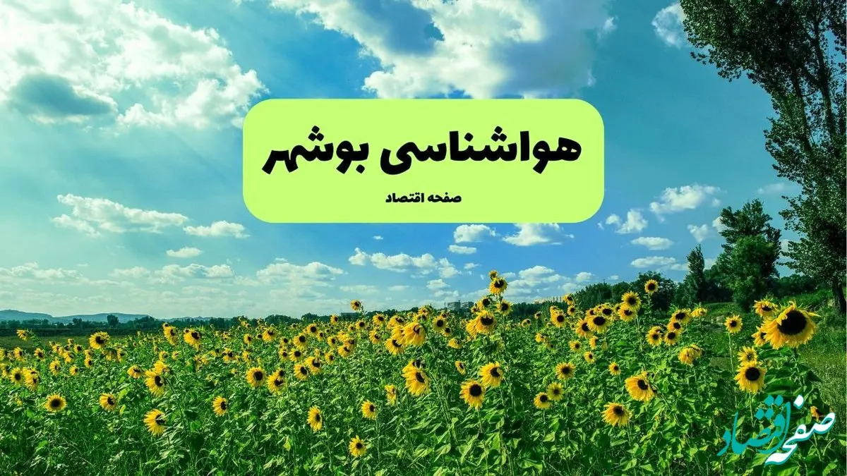 پیش بینی وضعیت آب و هوا بوشهر فردا پنجشنبه ۱۳ شهریور ماه ۱۴۰۴ | هواشناسی بوشهر ۲۴ ساعت آینده 