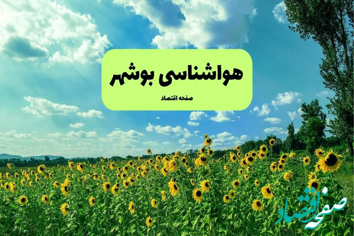 پیش بینی وضعیت آب و هوا بوشهر فردا پنجشنبه ۱۳ شهریور ماه ۱۴۰۴ | هواشناسی بوشهر ۲۴ ساعت آینده