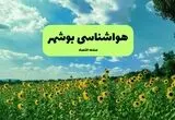 پیش بینی وضعیت آب و هوا بوشهر فردا پنجشنبه ۱۵ مرداد 
