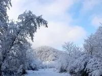 خبر فوری از بارش برف و باران در این مناطق کشور | هواشناسی استان ها فردا جمعه 14 دی 1403
