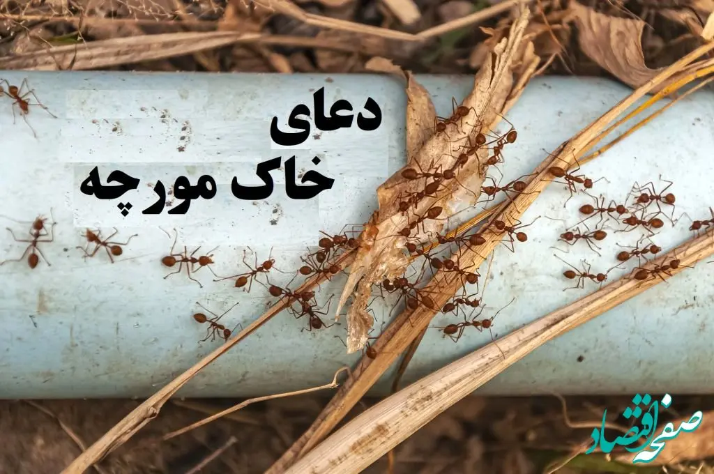 با دعای خاک مورچه به خواسته های خود برسید!جذب مشتری، خواستگار و فروش خانه