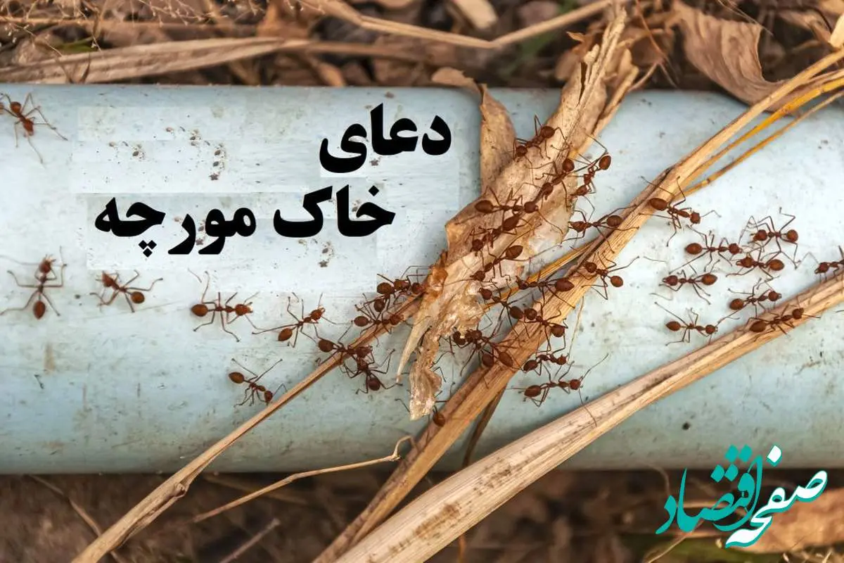 با دعای خاک مورچه به خواسته های خود برسید!جذب مشتری، خواستگار و فروش خانه