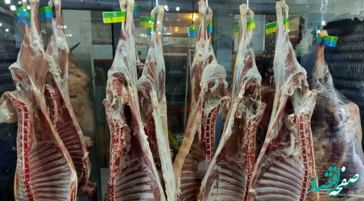 فوری / واردات گوشت‌ های فاسد به ایران تایید شد!
