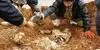 پیکر مطهر یک شهید در طلاییه کشف شد