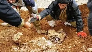 پیکر مطهر یک شهید در طلاییه کشف شد