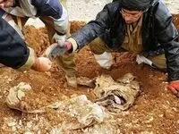 پیکر مطهر یک شهید در طلاییه کشف شد