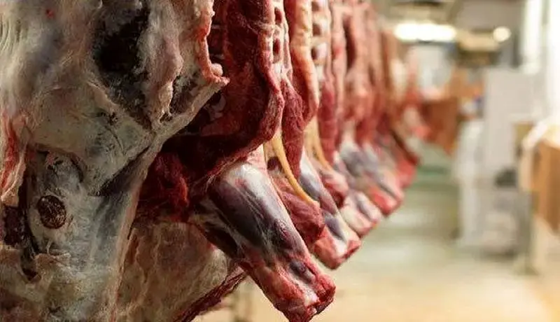 قیمت گوشت به مرز شوک رسید؛ گوشت ۱.۵ میلیون و گوسفند ۳۵۰ هزار تومان!