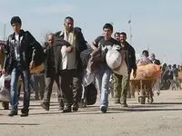 ۶ میلیون مهاجر خارجی غیر قانونی در ایران | افغانستانی های غیرمجاز چگونه برمی‌گردند؟