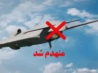 خبر فوری از ساقط شدن دو فروند پهپاد اوربیتر